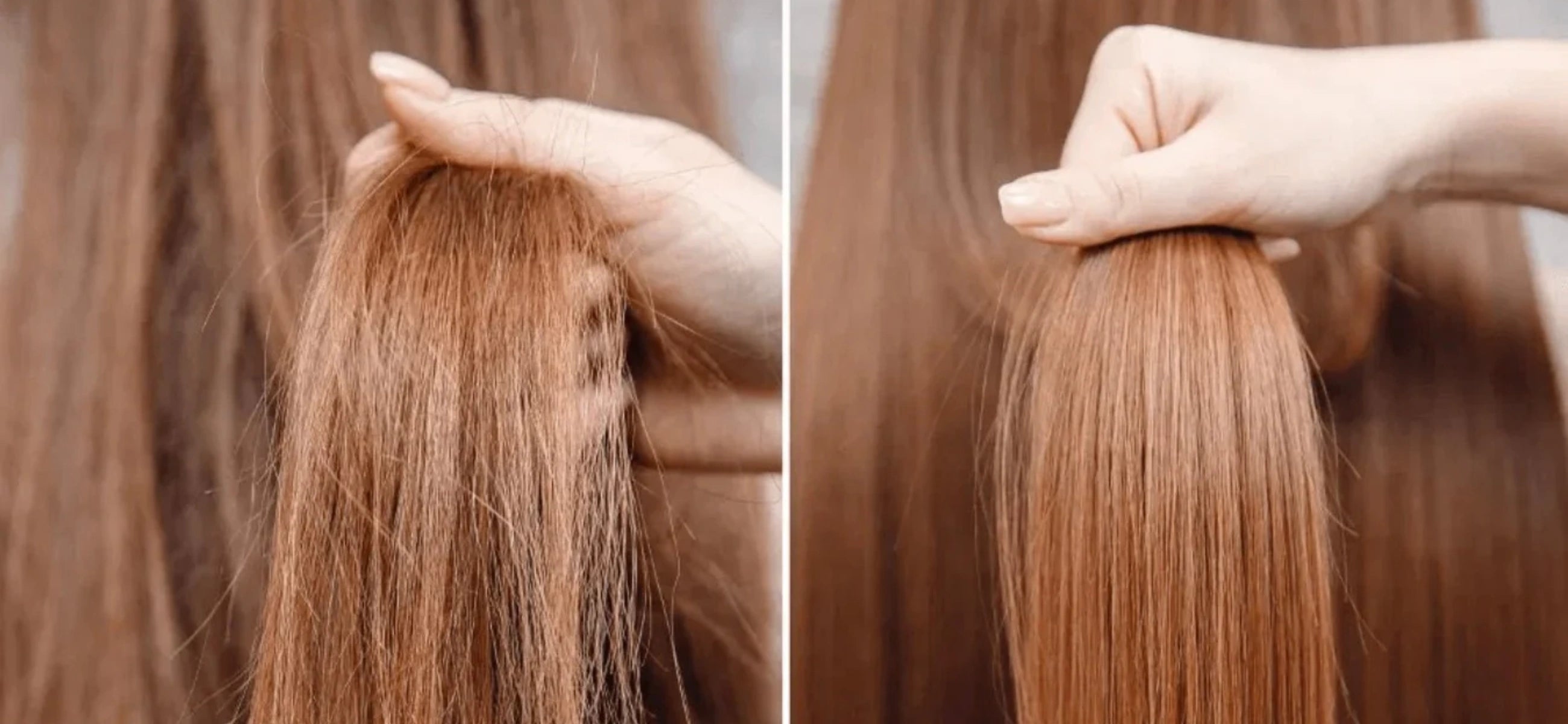 Brittle hair: Causes, symptoms, and expert-recommended treatments for healthier hair